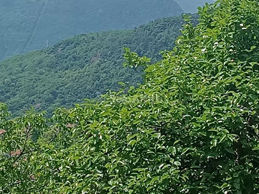 Immagine 25 di Casa indipendente in affitto  in Via Rubiana 45 a Almese