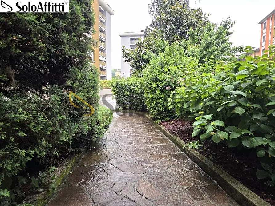 Immagine 31 di Trilocale in affitto  in Via Empoli 5 a Milano