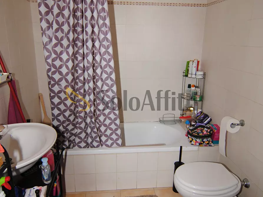 Immagine 11 di Bilocale in affitto  a Livorno