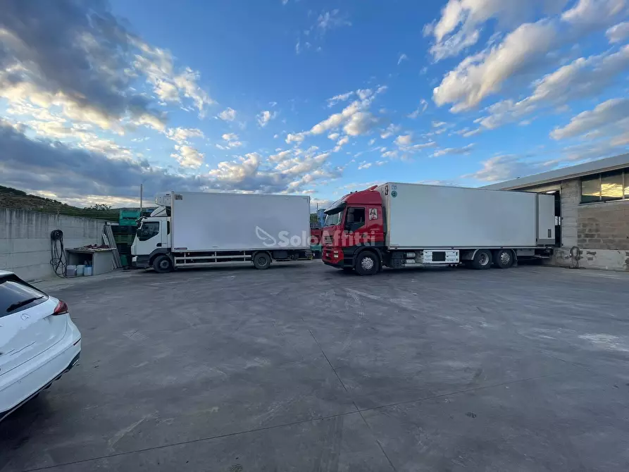 Immagine 11 di Magazzino in affitto  in Via Mastrilli a Maddaloni