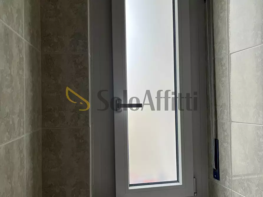 Immagine 33 di Trilocale in affitto  in Via Carlo Capelli a Torino