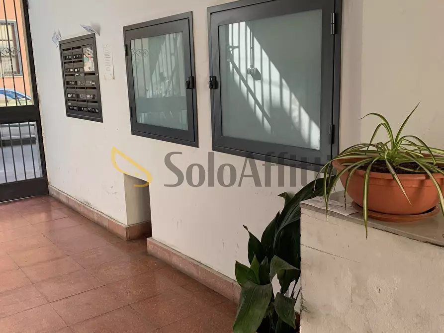 Immagine 5 di Stanza singola in affitto  a Catania