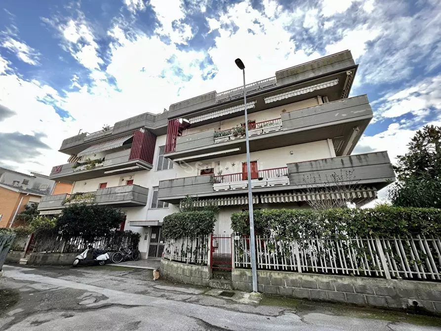 Immagine 19 di Trilocale in affitto  in silone 41 a Tortoreto