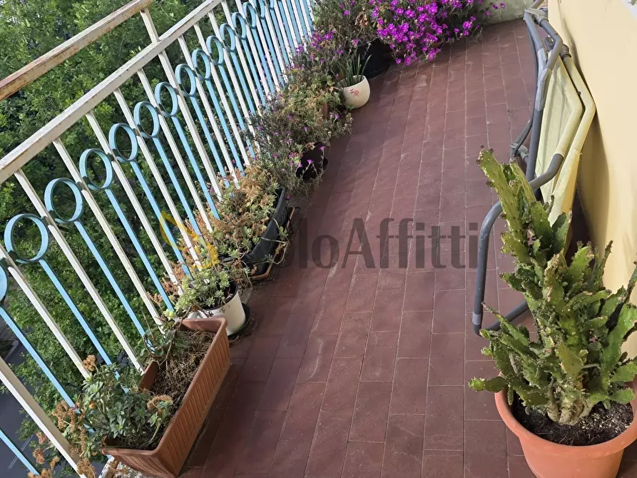 Immagine 18 di Trilocale in affitto  in Viale Giuseppe Mazzini a Santarcangelo Di Romagna