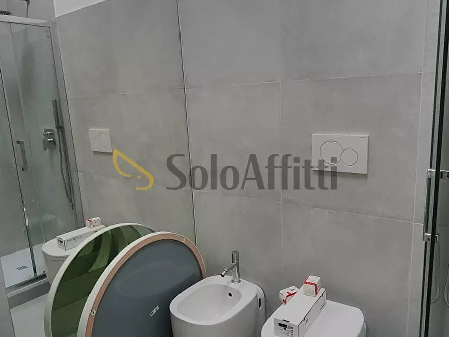 Immagine 34 di Bilocale in affitto  in Casottole (Torre d'isola) a Torre D'isola