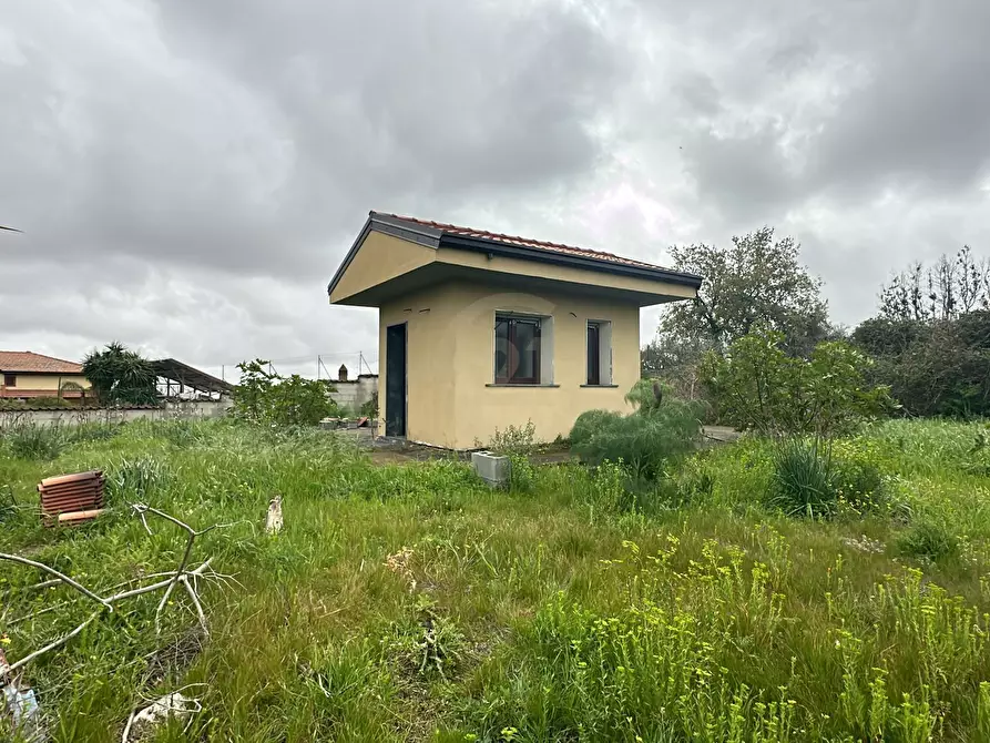 Immagine 2 di Terreno agricolo in vendita  a San Pietro Clarenza