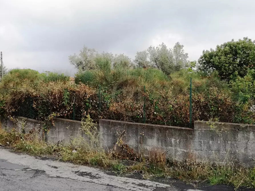 Immagine 5 di Terreno edificabile in vendita  a Mascalucia