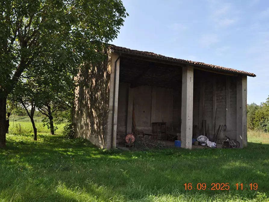 Immagine 31 di Rustico / casale in vendita  in San Quirico a Sissa Trecasali