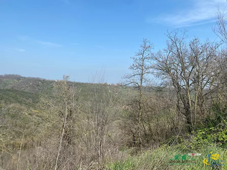 Immagine 2 di Terreno agricolo in vendita  in Miano a Medesano