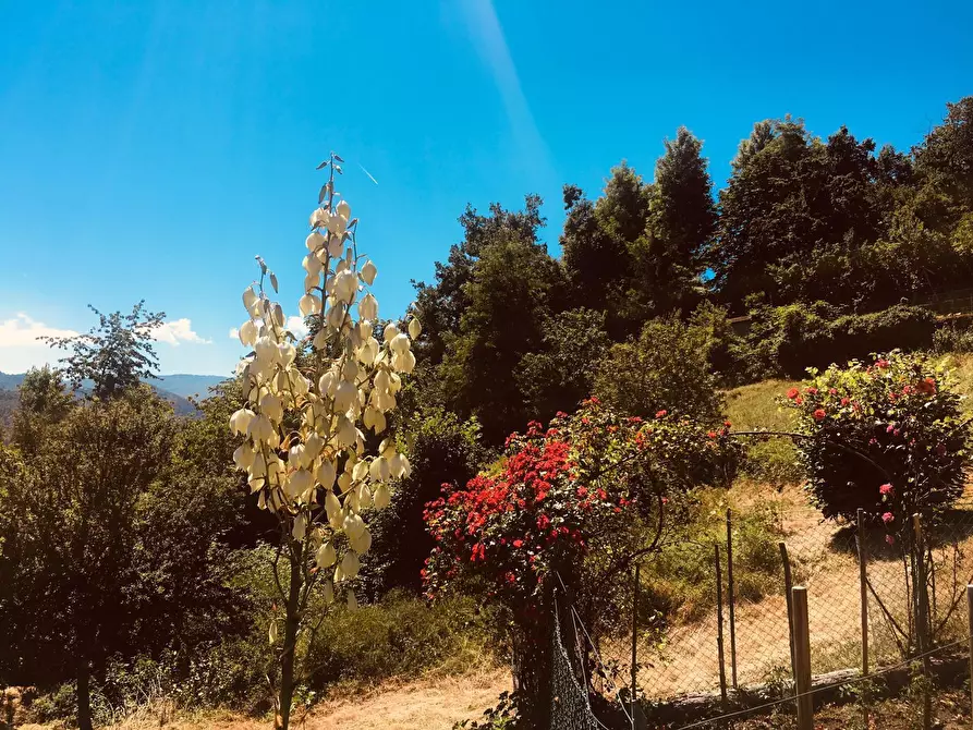 Immagine 83 di Casa indipendente in vendita  in Strada Bergotto 42 a Berceto