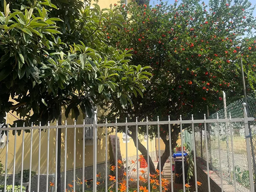 Immagine 3 di Terratetto in vendita  in Strada Alessandria a Parma