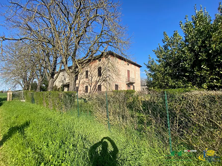 Immagine 2 di Villa in vendita  in Via Giuseppe Garibaldi 30 a Collecchio