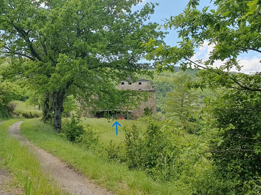 Immagine 36 di Terreno agricolo in vendita  in Località Molinelli 59 a Berceto