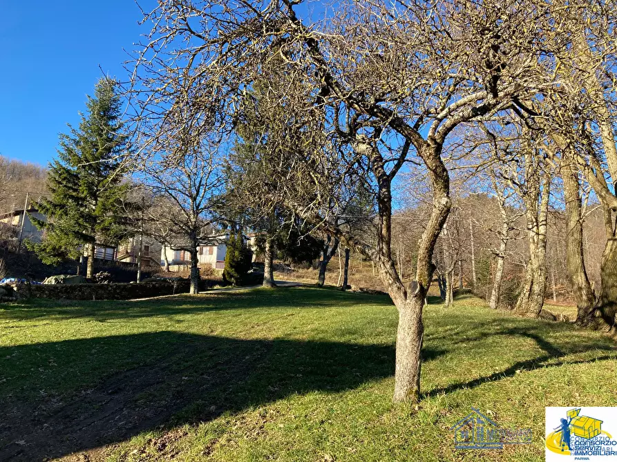 Immagine 1 di Quadrilocale in vendita  a Monchio Delle Corti