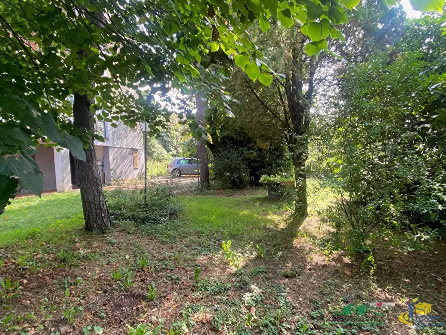 Immagine 12 di Casa indipendente in vendita  in via delle case vecchie 6 a Terenzo