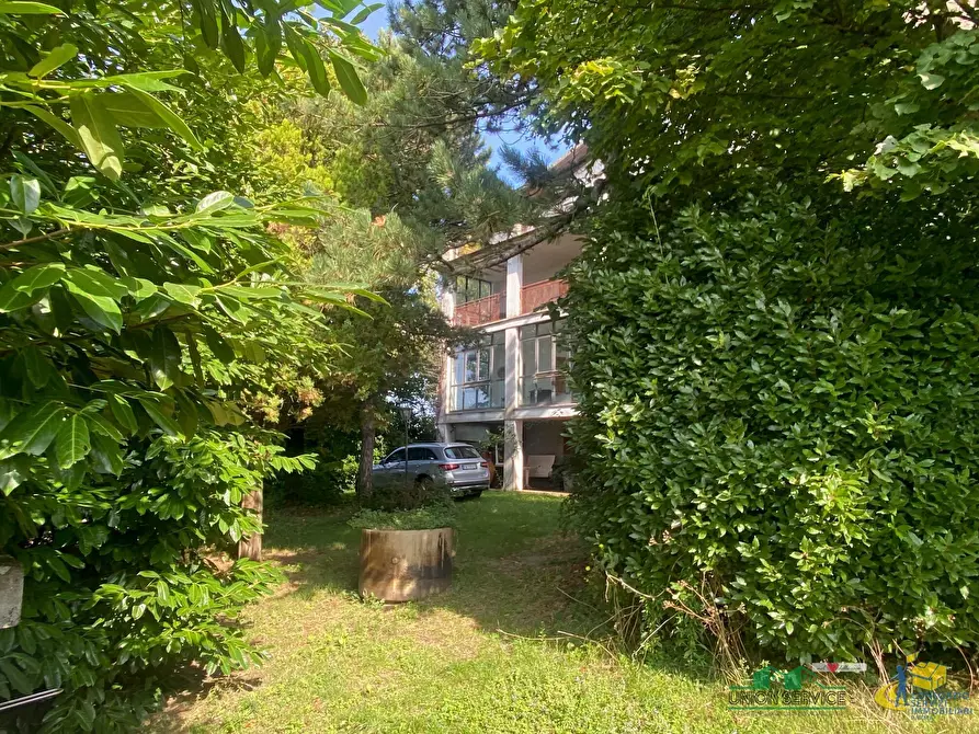 Immagine 8 di Casa indipendente in vendita  in via delle case vecchie 6 a Terenzo