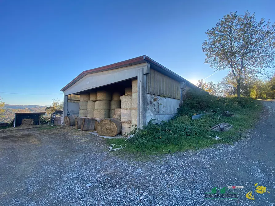 Immagine 10 di Casa indipendente in vendita  in Strada per Varano Marchesi 37 a Medesano