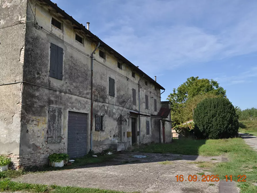 Immagine 36 di Rustico / casale in vendita  in San Quirico a Sissa Trecasali