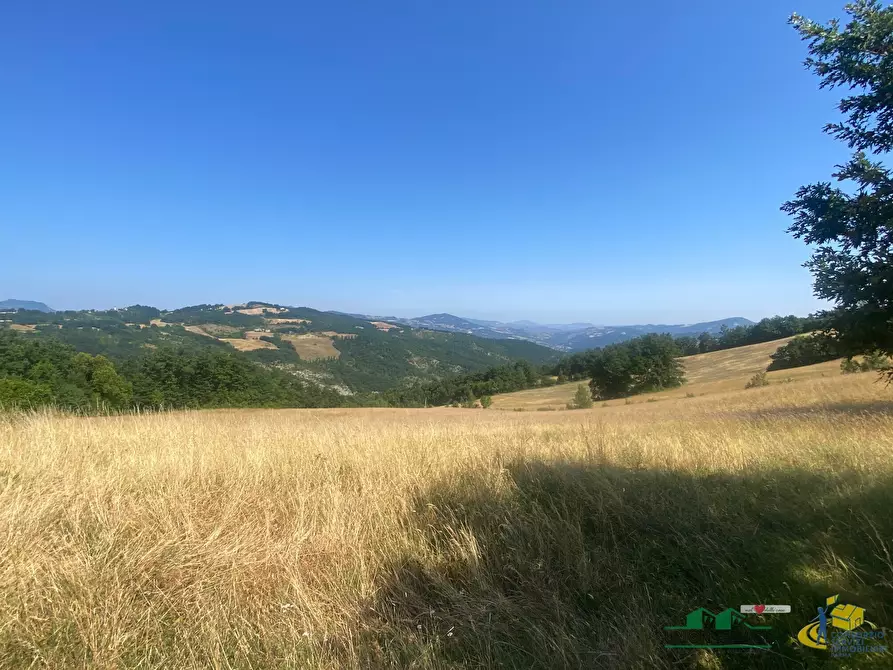 Immagine 9 di Terreno agricolo in vendita  in Località Molinelli 59 a Berceto