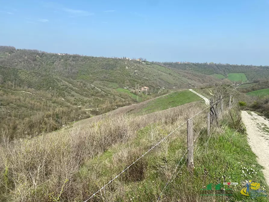Immagine 4 di Terreno agricolo in vendita  in Miano a Medesano