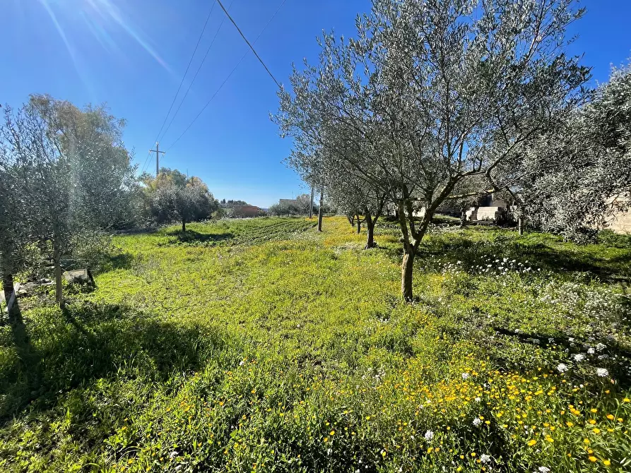 Immagine 7 di Rustico / casale in vendita  in Via Loreto Gallinara a Modica