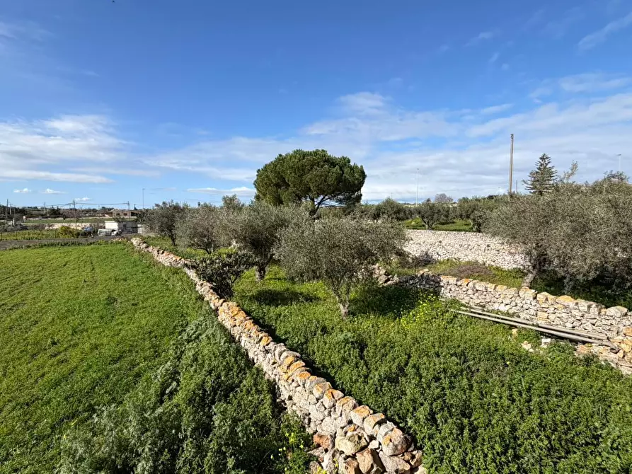 Immagine 12 di Villa in vendita  in Via Vanella 91 a Modica