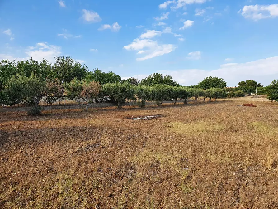 Immagine 9 di Villa in vendita  in Strada Provinciale 40 a Scicli