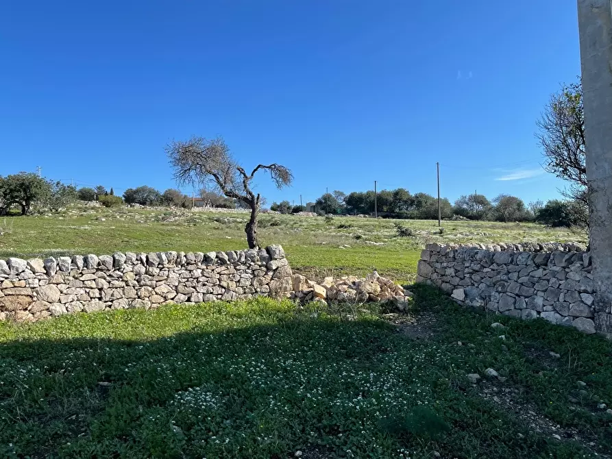 Immagine 14 di Terreno agricolo in vendita  in Contrada San Marco a Scicli