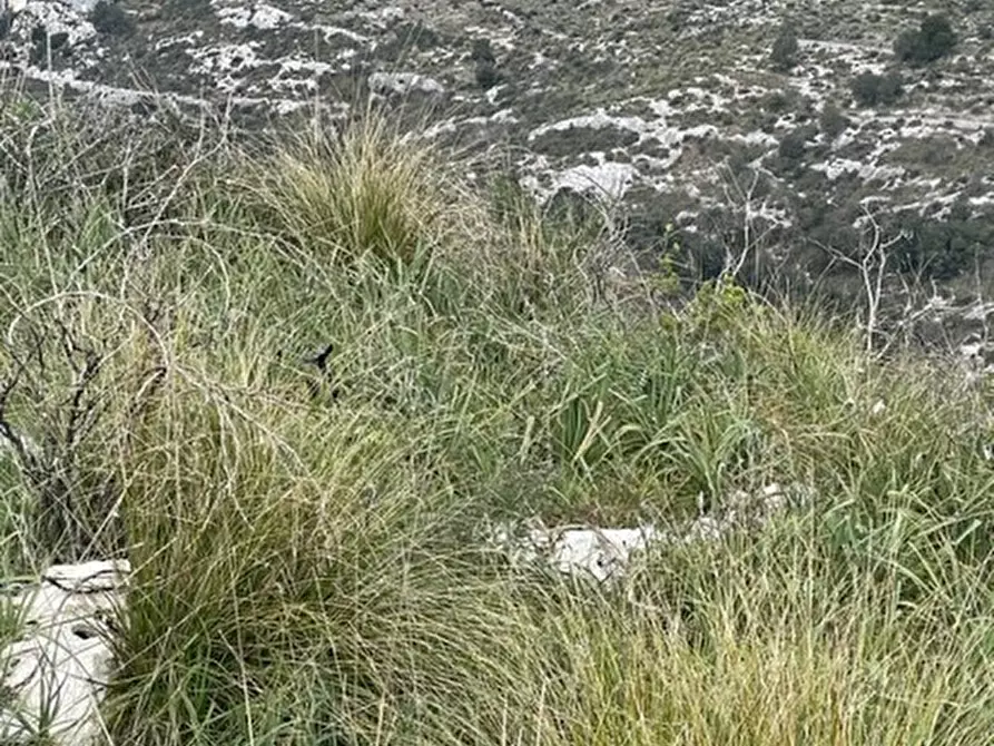 Immagine 9 di Casa indipendente in vendita  in Strada Provinciale 4 a Noto