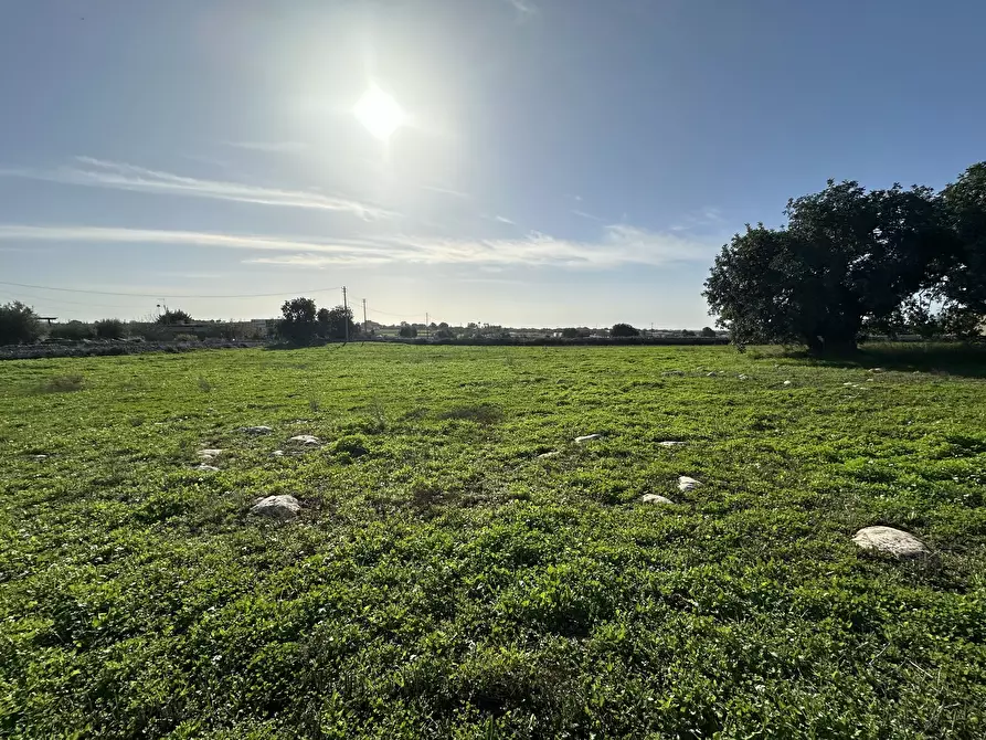 Immagine 4 di Rustico / casale in vendita  in Strada Provinciale 45 a Modica