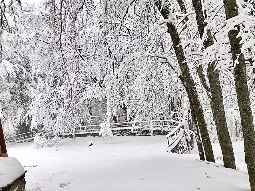 Immagine 5 di Bilocale in vendita  a Lama Mocogno