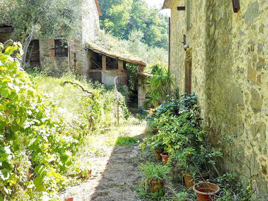 Immagine 7 di Rustico / casale in vendita  in Via Tofori a Lucca