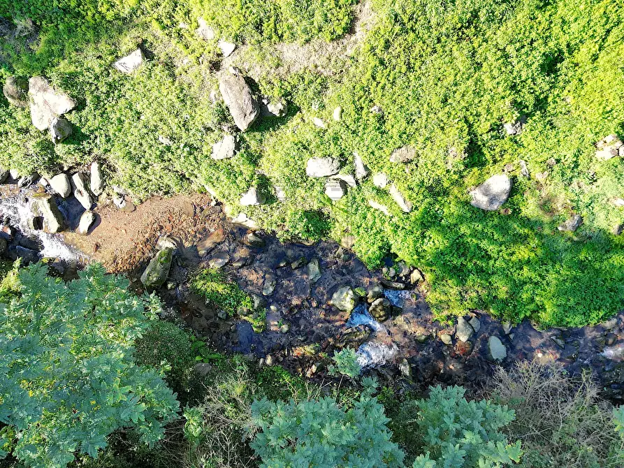 Immagine 29 di Rustico / casale in vendita  in Guamo 34A a Capannori