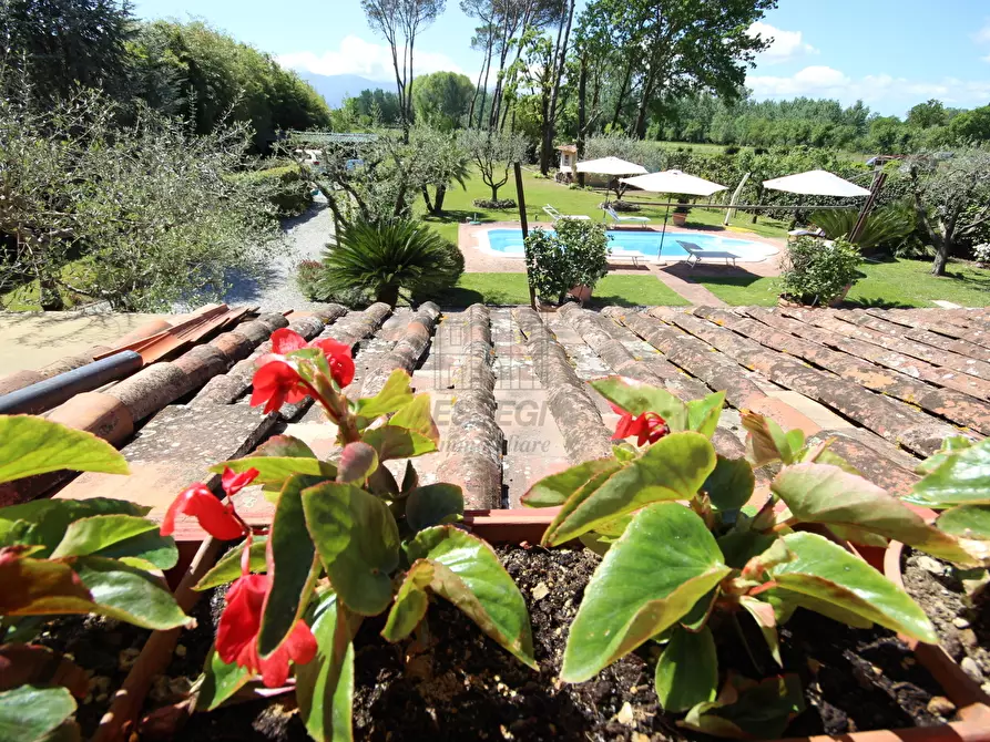 Immagine 24 di Rustico / casale in vendita  in Via dei Marzi 463 a Lucca