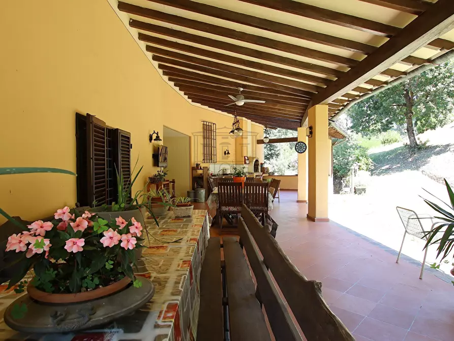 Immagine 14 di Villa in vendita  in Via dei Borelli a Lucca