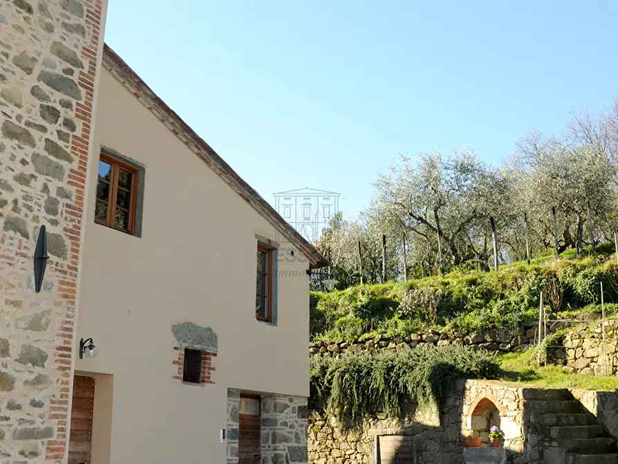 Immagine 27 di Rustico / casale in vendita  in Strada Senza Nome 5 a Pescia