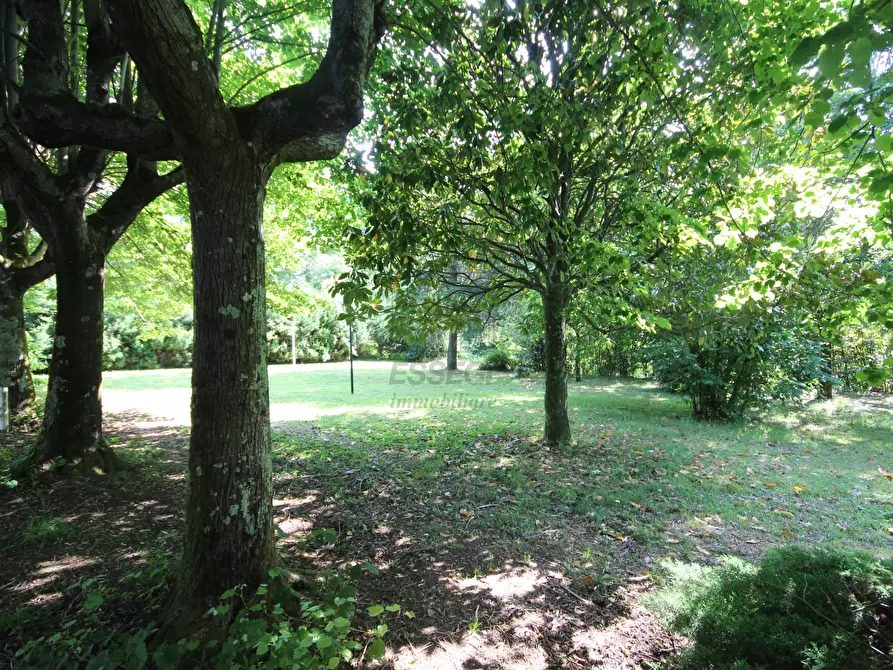 Immagine 8 di Villa in vendita  in via pradalino a Camaiore