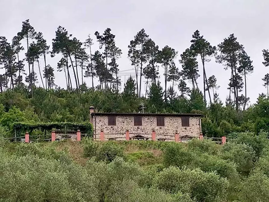 Immagine 20 di Rustico / casale in vendita  in viadon aldo mei a Buti