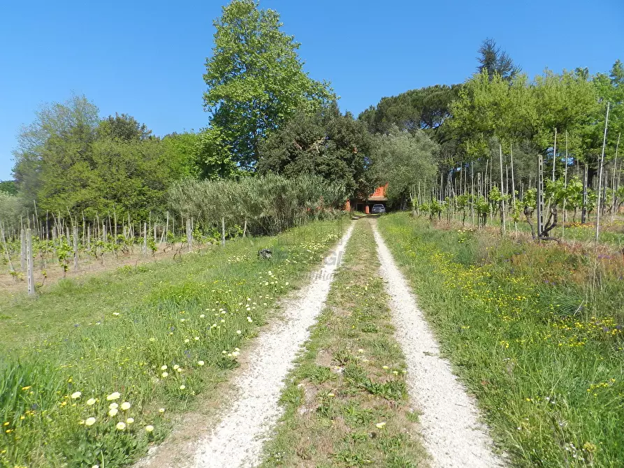 Immagine 21 di Rustico / casale in vendita  in Via del Marginone a Montecarlo