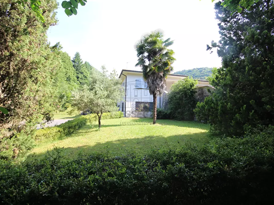 Immagine 5 di Villa in vendita  in via pradalino a Camaiore