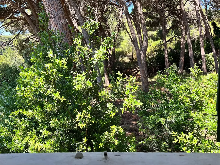 Immagine 18 di Rustico / casale in vendita  in Località Monte 4 a Porto Azzurro