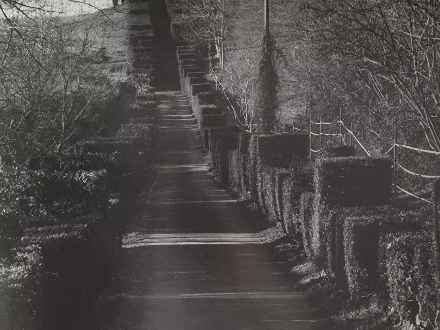 Immagine 17 di Villa in vendita  in via Colli 23 a Pescaglia