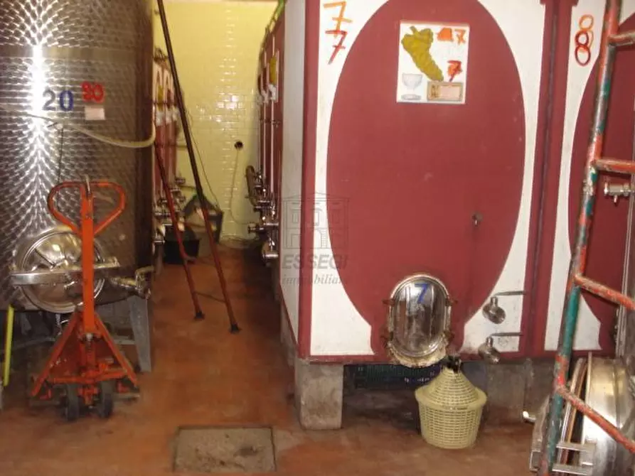 Immagine 22 di Rustico / casale in vendita  in via di san martino a Lucca