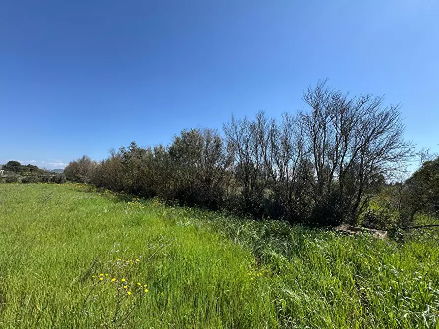 Immagine 4 di Terreno agricolo in vendita  a San Sperate