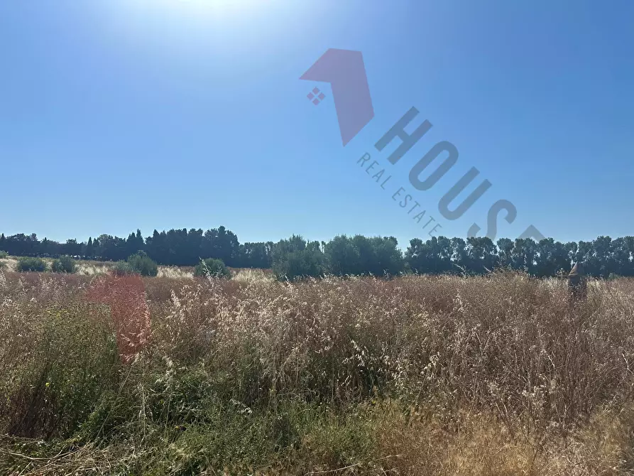 Immagine 4 di Terreno agricolo in vendita  a Quartu Sant'elena