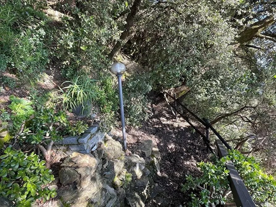 Immagine 9 di Trilocale in vendita  in Strada Punta Bianca 2 a Ameglia