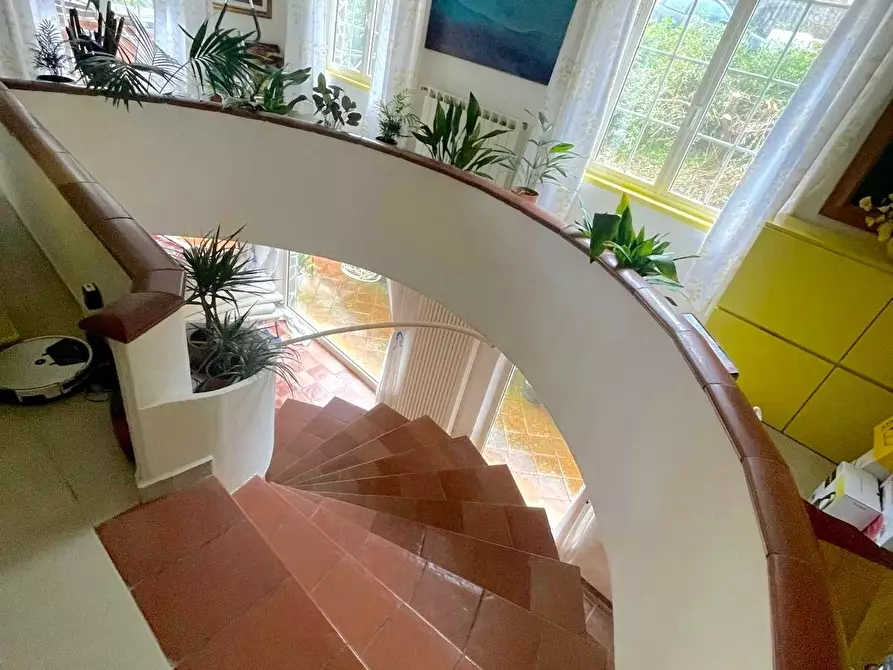 Immagine 21 di Casa trifamiliare in vendita  a Tresana