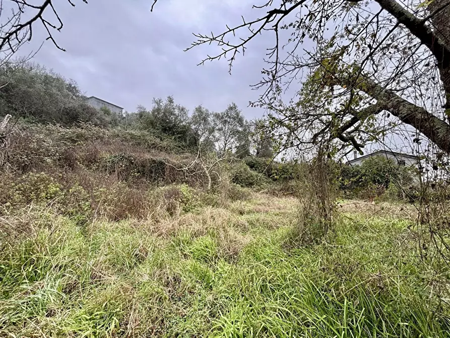 Immagine 68 di Villa in vendita  a Castelnuovo Magra