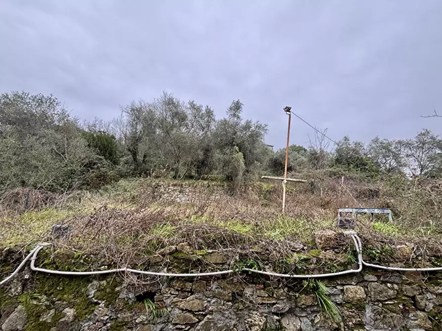 Immagine 67 di Villa in vendita  a Castelnuovo Magra