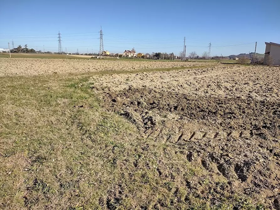 Immagine 7 di Terreno agricolo in vendita  a Jesi